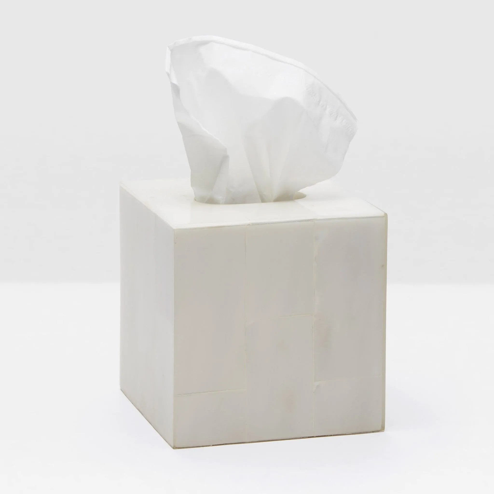 Pigeon and Poodle - PP004384 - Arles Tissue Box - Arles - White Faux Horn