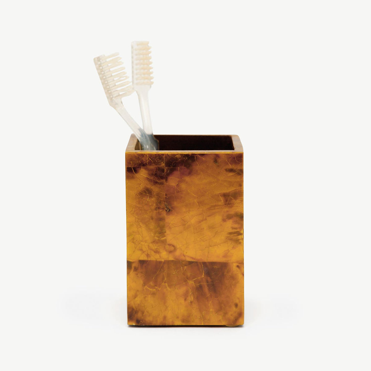 Pigeon and Poodle PP000386 Cannes Brush Holder in Young Pen Shell