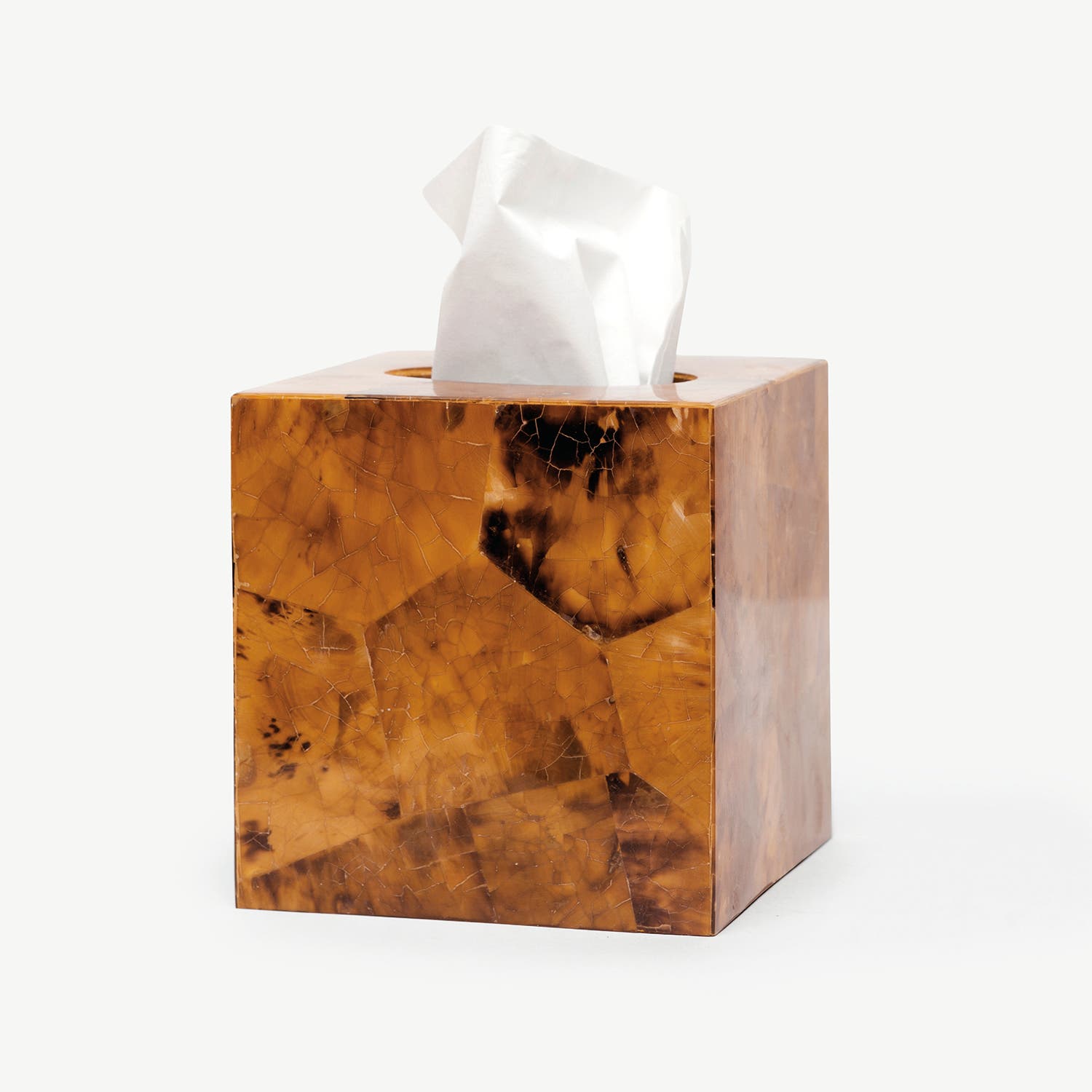 Pigeon and Poodle PP000390 Cannes Tissue Box in Young Pen Shell