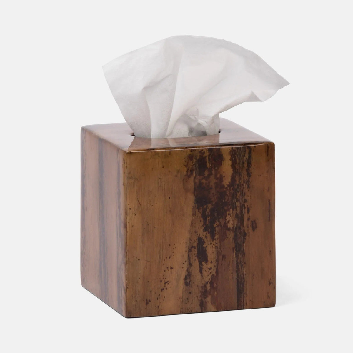 Pigeon and Poodle PP001531 Varadero Tissue Box in Dark Stain Banana Leaf