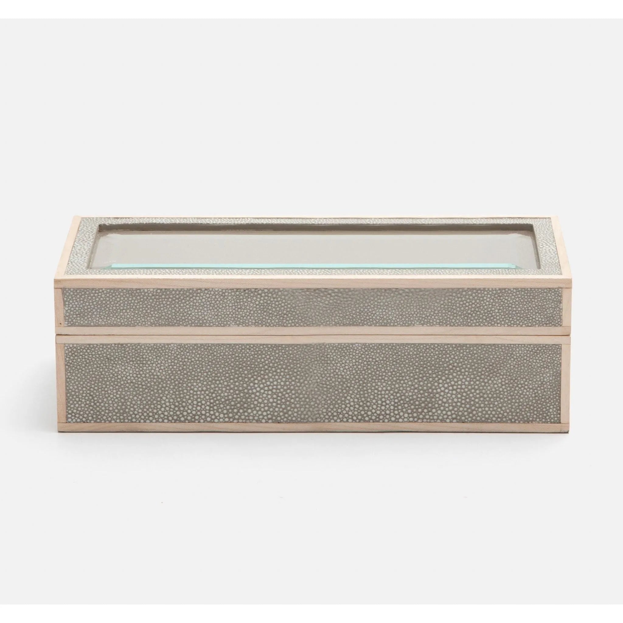 Pigeon and Poodle - PP002668 - Elmbridge Slotted Watch Box - Elmbridge - Sand Realistic Faux Shagreen