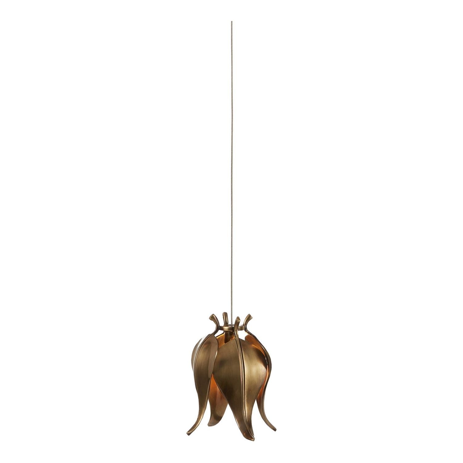 Currey and Company - 9000-1019 - One Light Pendant - Iota - Antique Brass