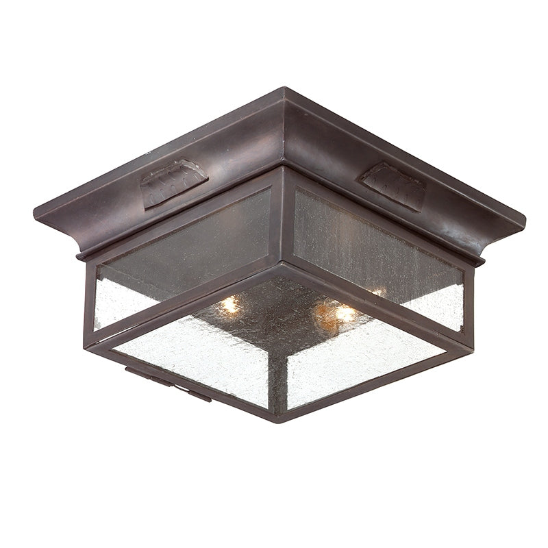 Troy Lighting Canada - C9000-SFB - Deux lampes Plafonnier - Newton - Soft Off Black
