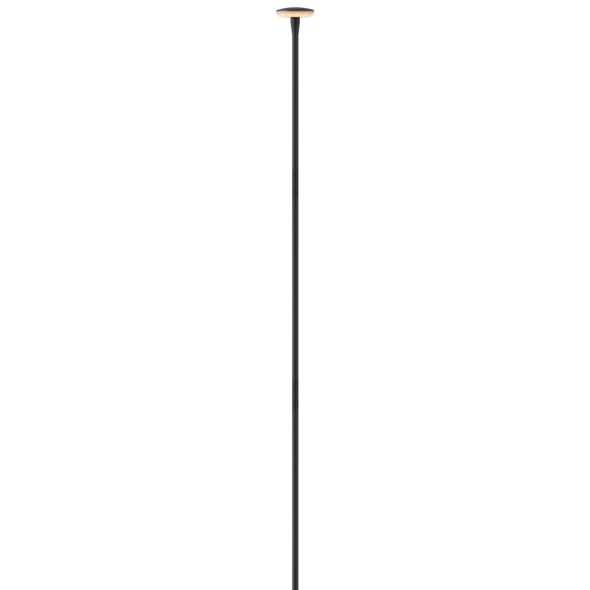 Lampe de jardin LED Calie 15695BK de Hinkley Lighting, noire