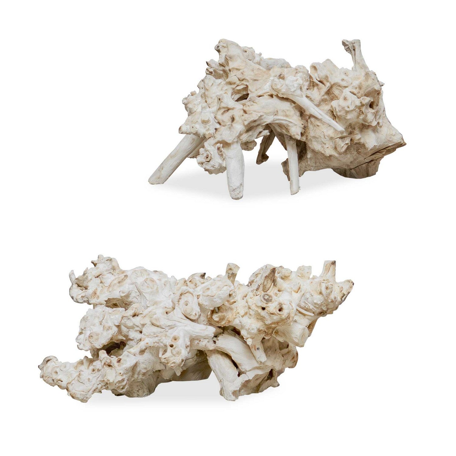 Uttermost - 17141 - Sculpture - Élémentaire - Bois résine blanchi