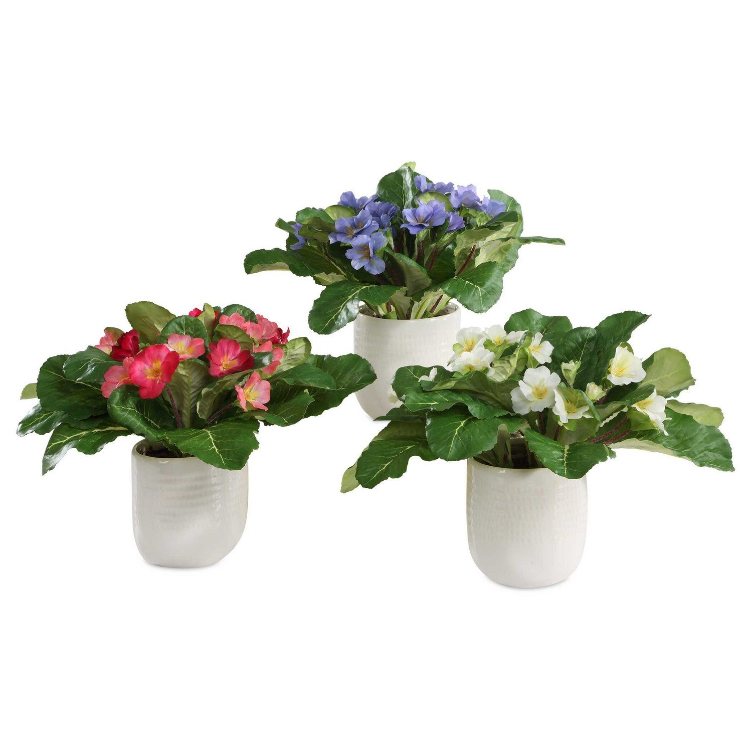 Uttermost - 60247 - Accents In Vases Set/3 - Trilogy Primrose - White