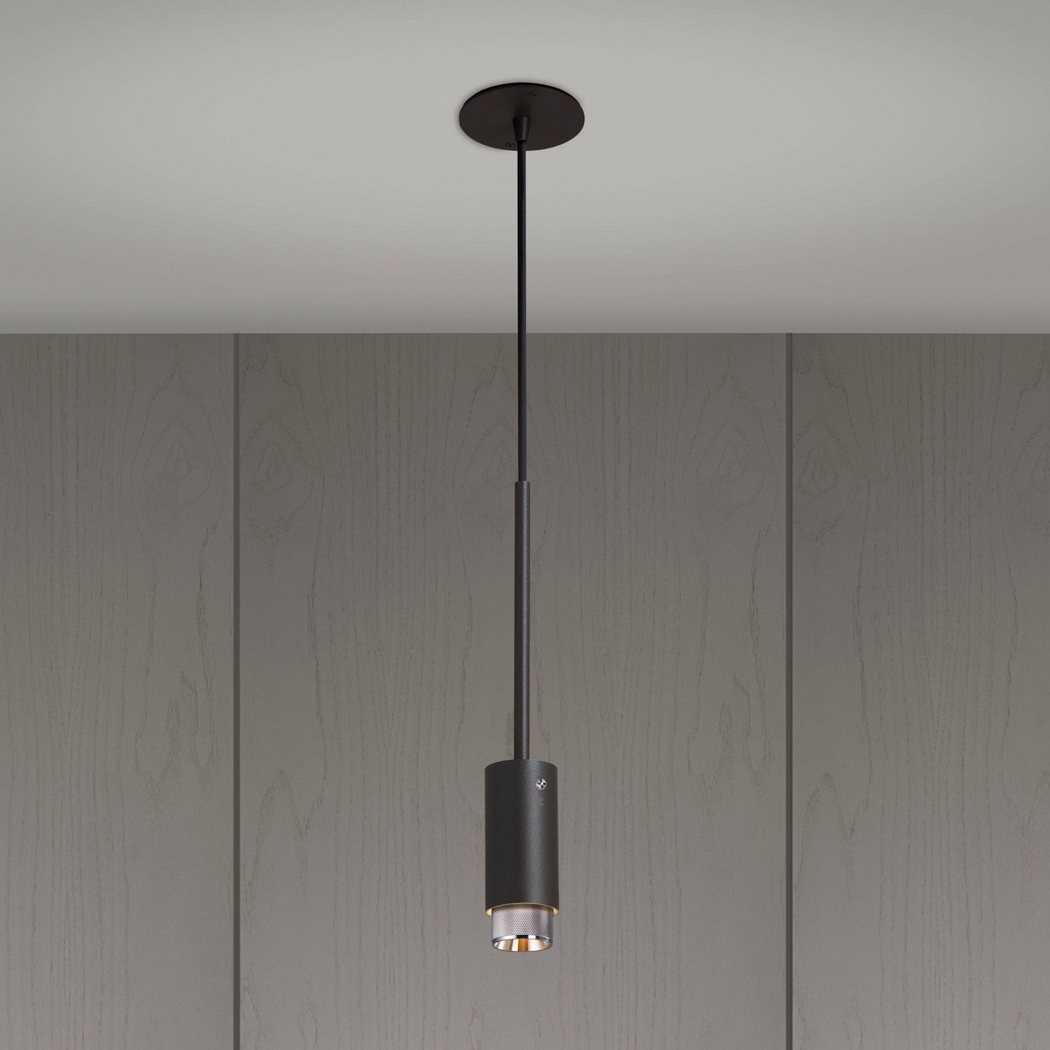 Buster + Punch - NEIG-193942 - LED Spotlight - Steel
