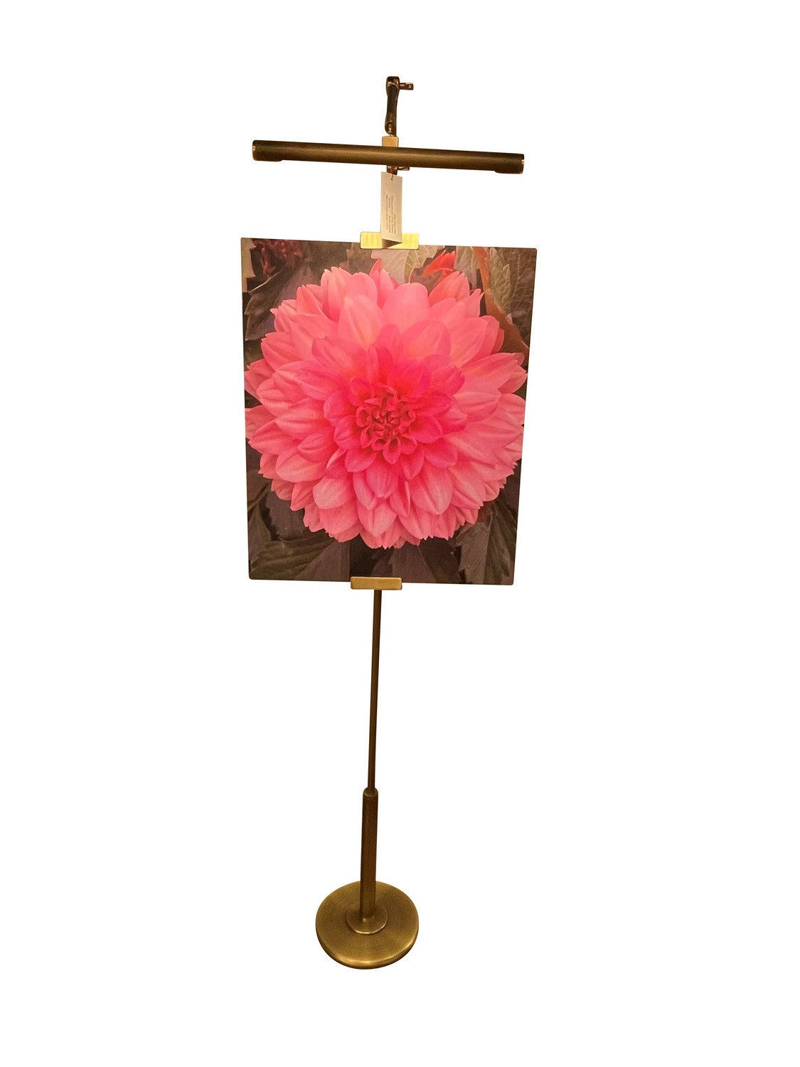 House of Troy RN300-AB/SB River North RN300 LED Floor Lamp in Antique Brass/Satin Brass