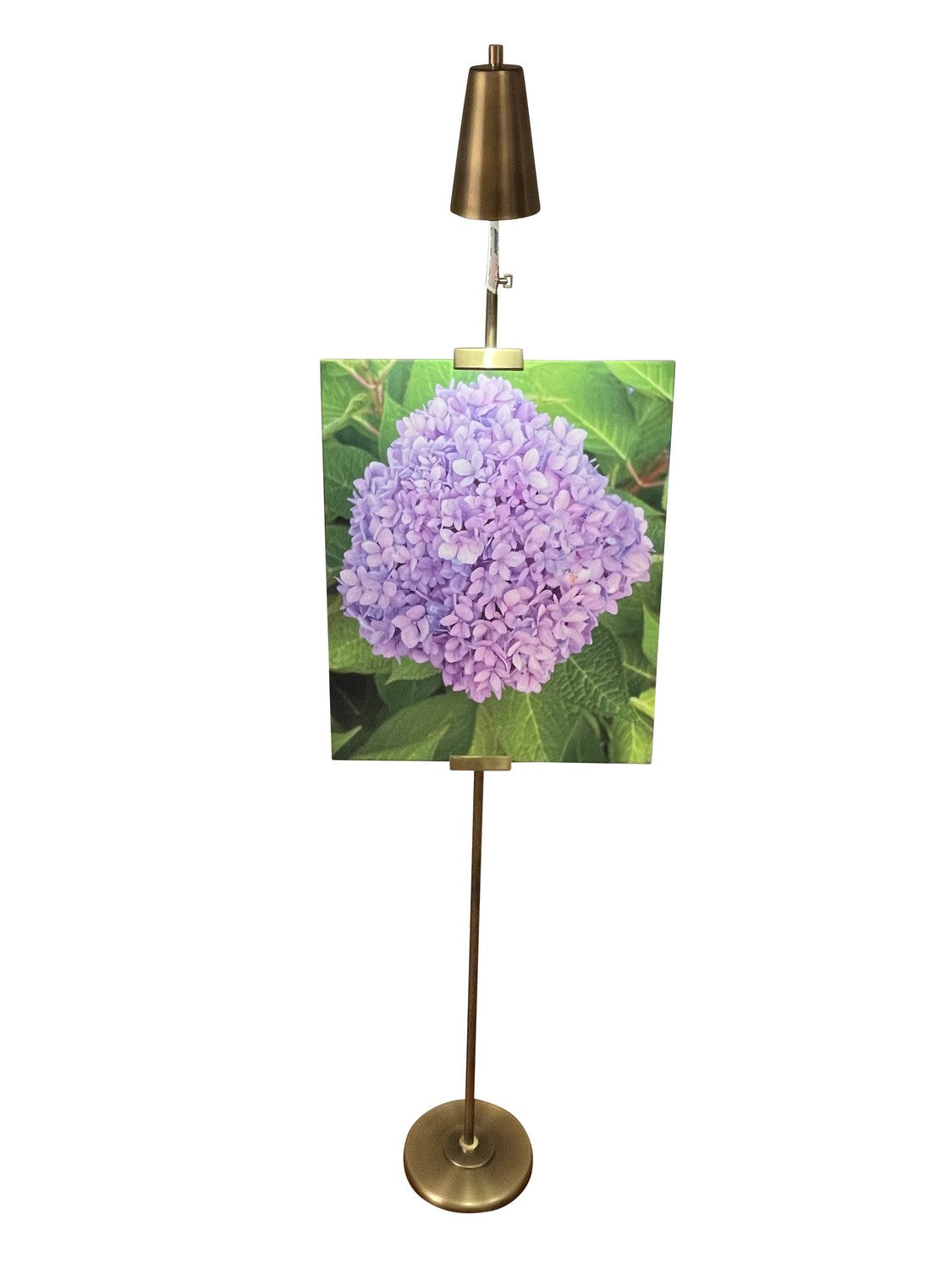 House of Troy RN301-AB/SB River North RN301 LED Floor Lamp in Antique Brass/Satin Brass