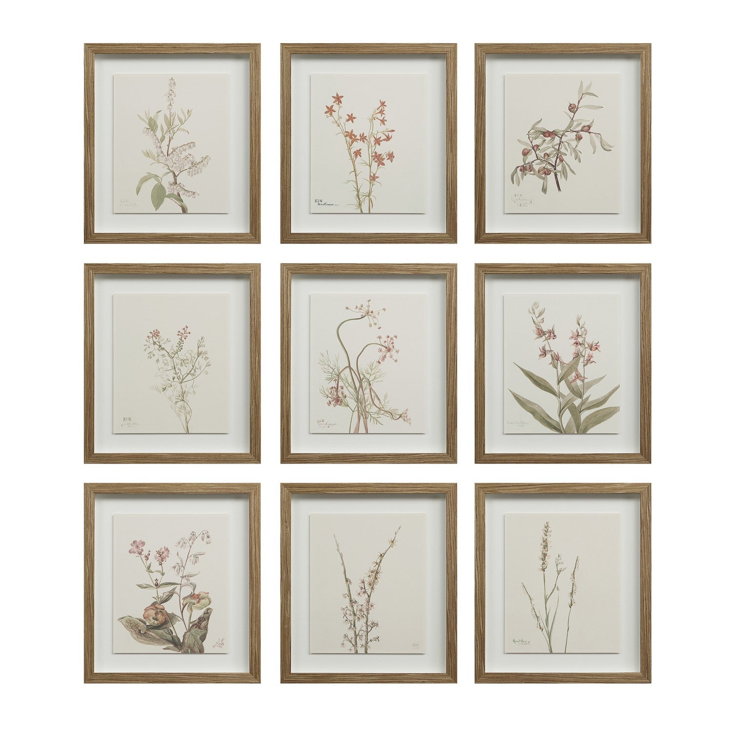 Renwil Canada - PA0043 - Wall Decor - Crema - Medium Walnut