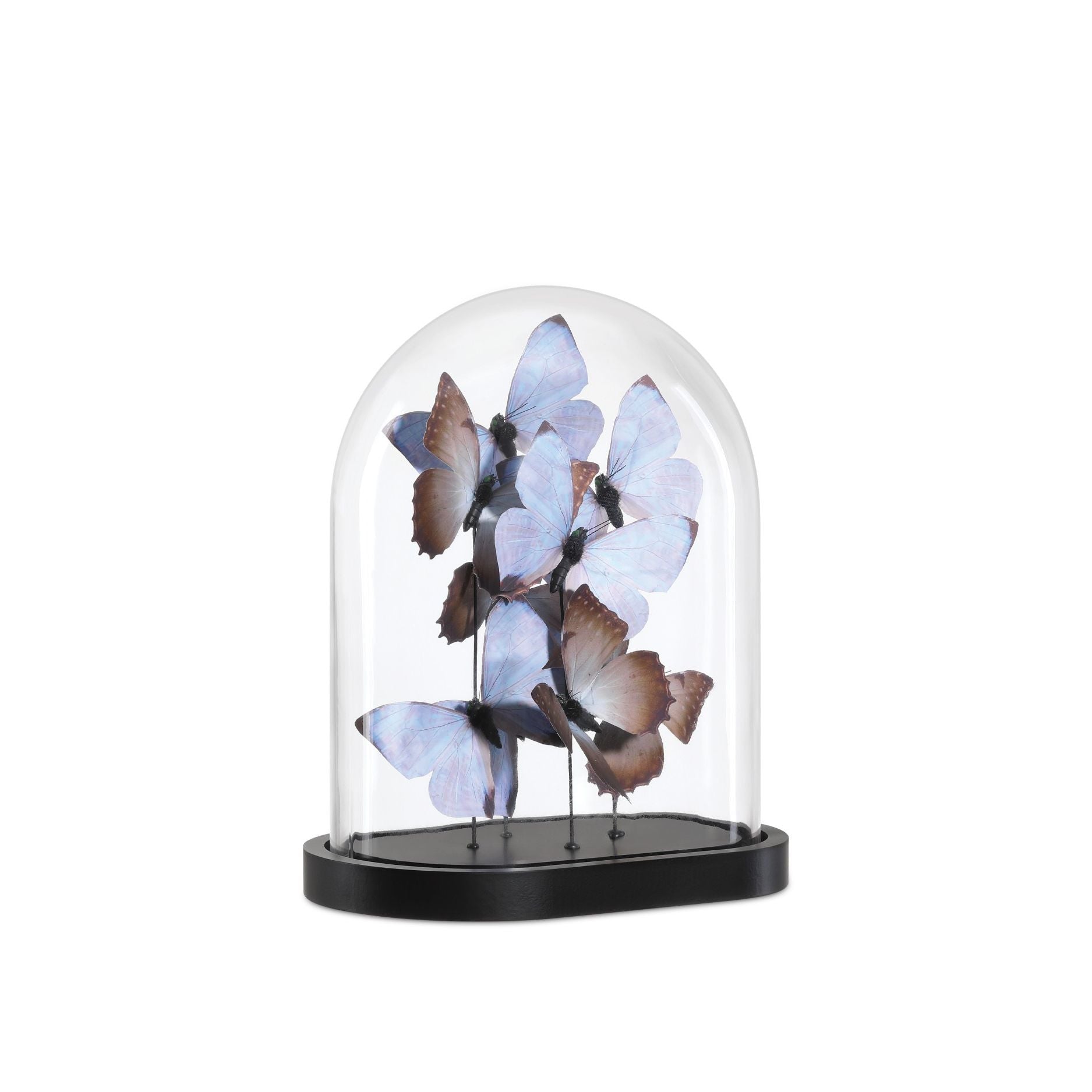 Currey and Company - 1200-0976 - Sculpture - Rue de Bac - Lilas / Marron / Noir / Transparent