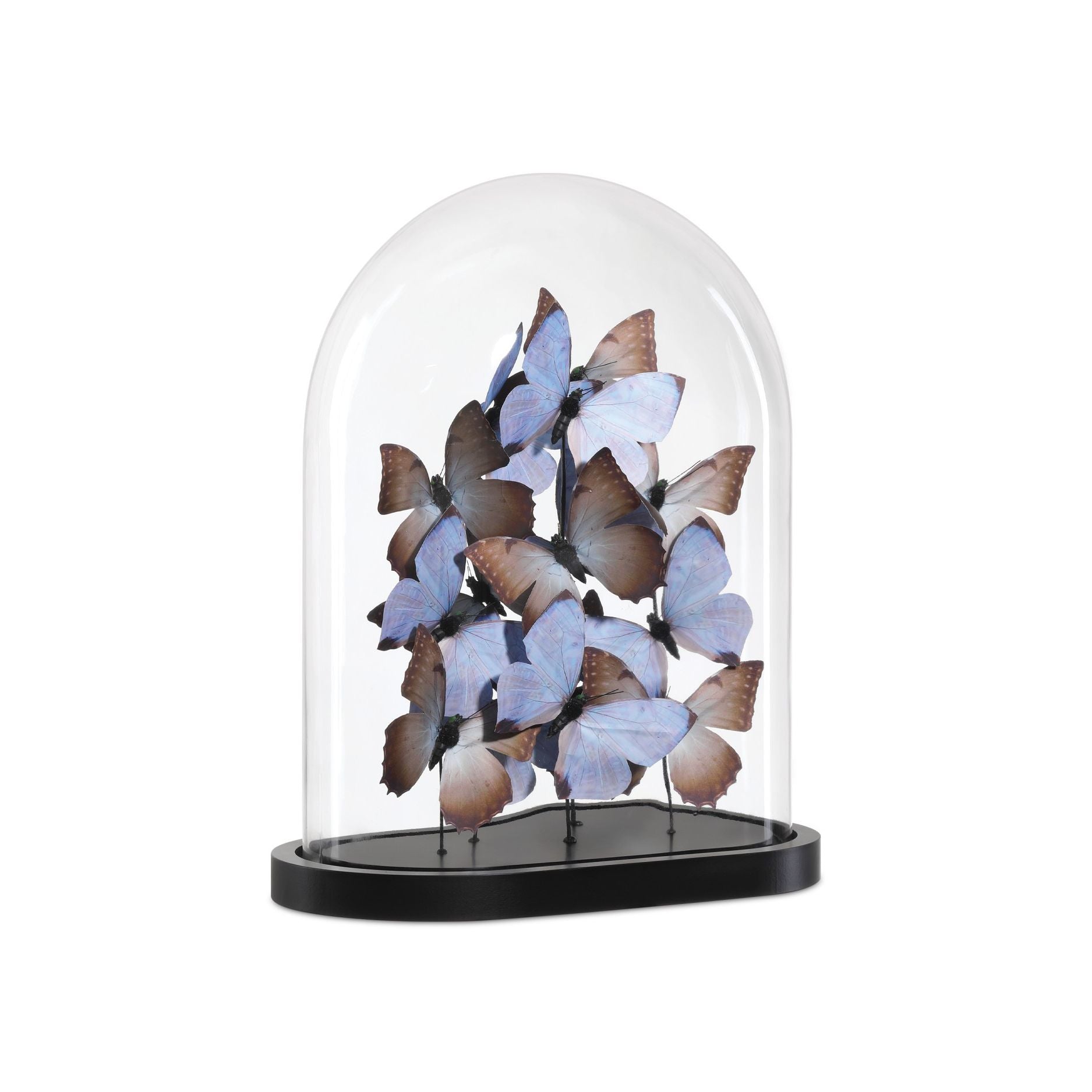Currey and Company - 1200-0977 - Sculpture - Rue de Bac - Lilas / Marron / Noir / Transparent