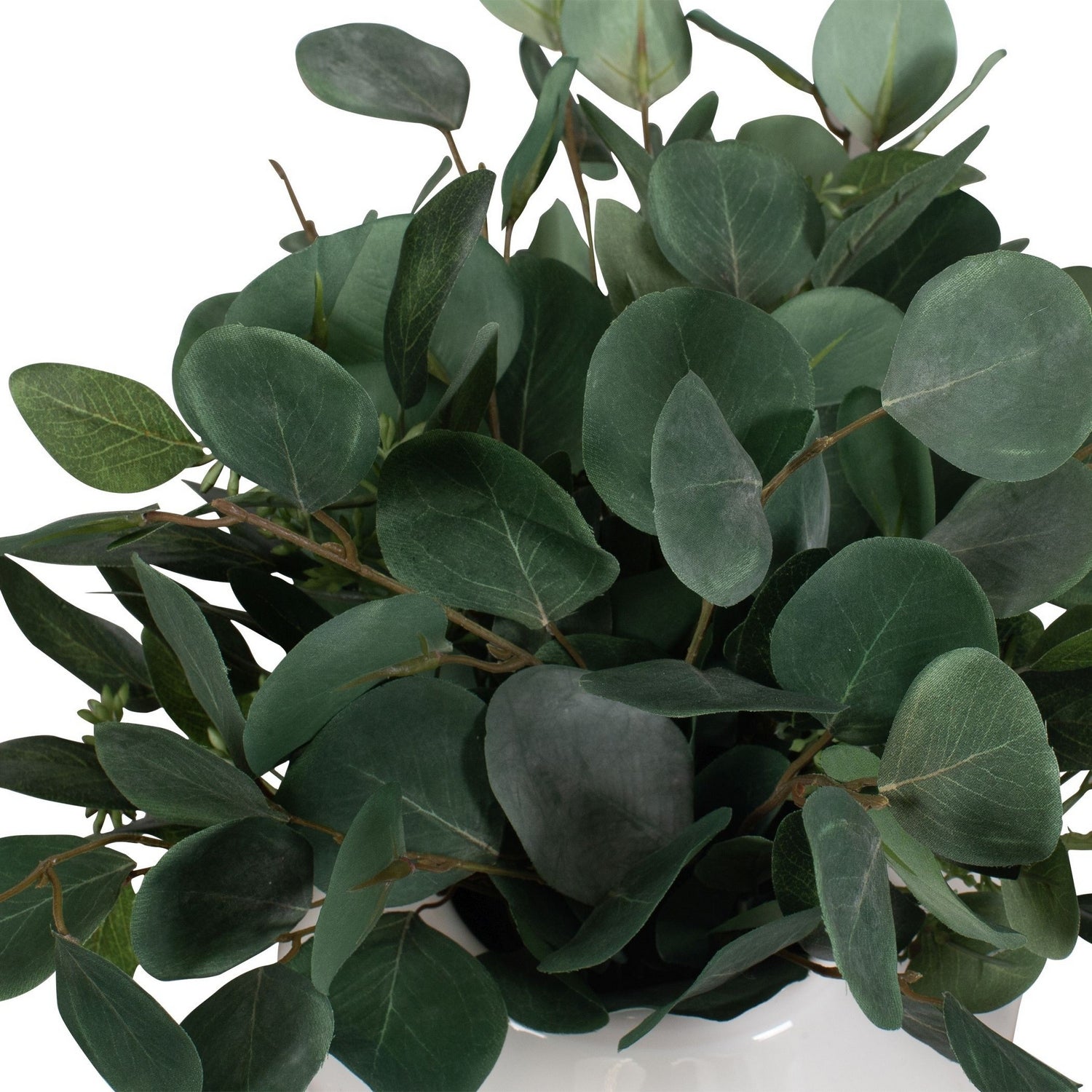 Uttermost - 60257 - Vase - Essence d'eucalyptus - Blanc