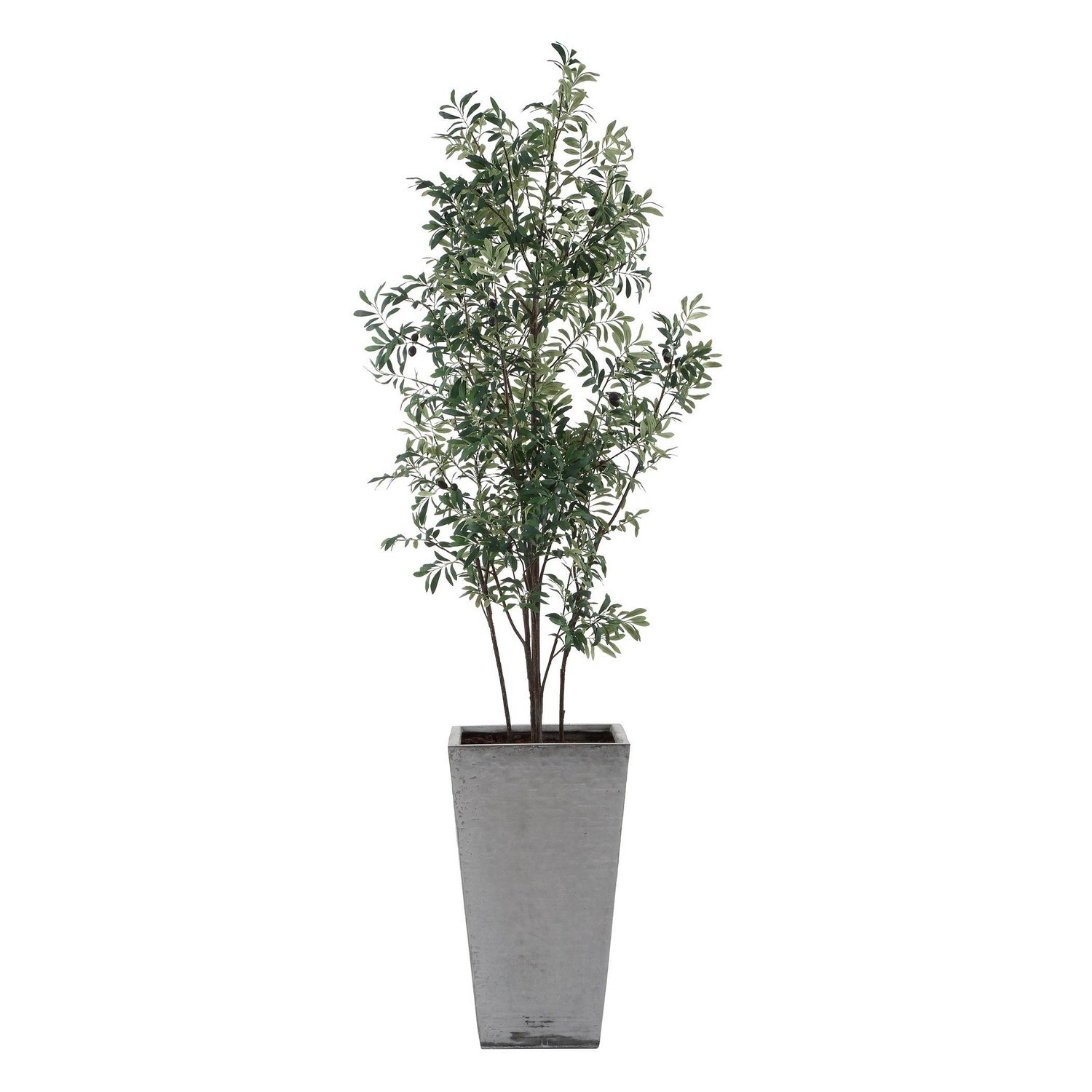 Uttermost - 60269 - Jardinière - Olive de Sonora - Vert argenté