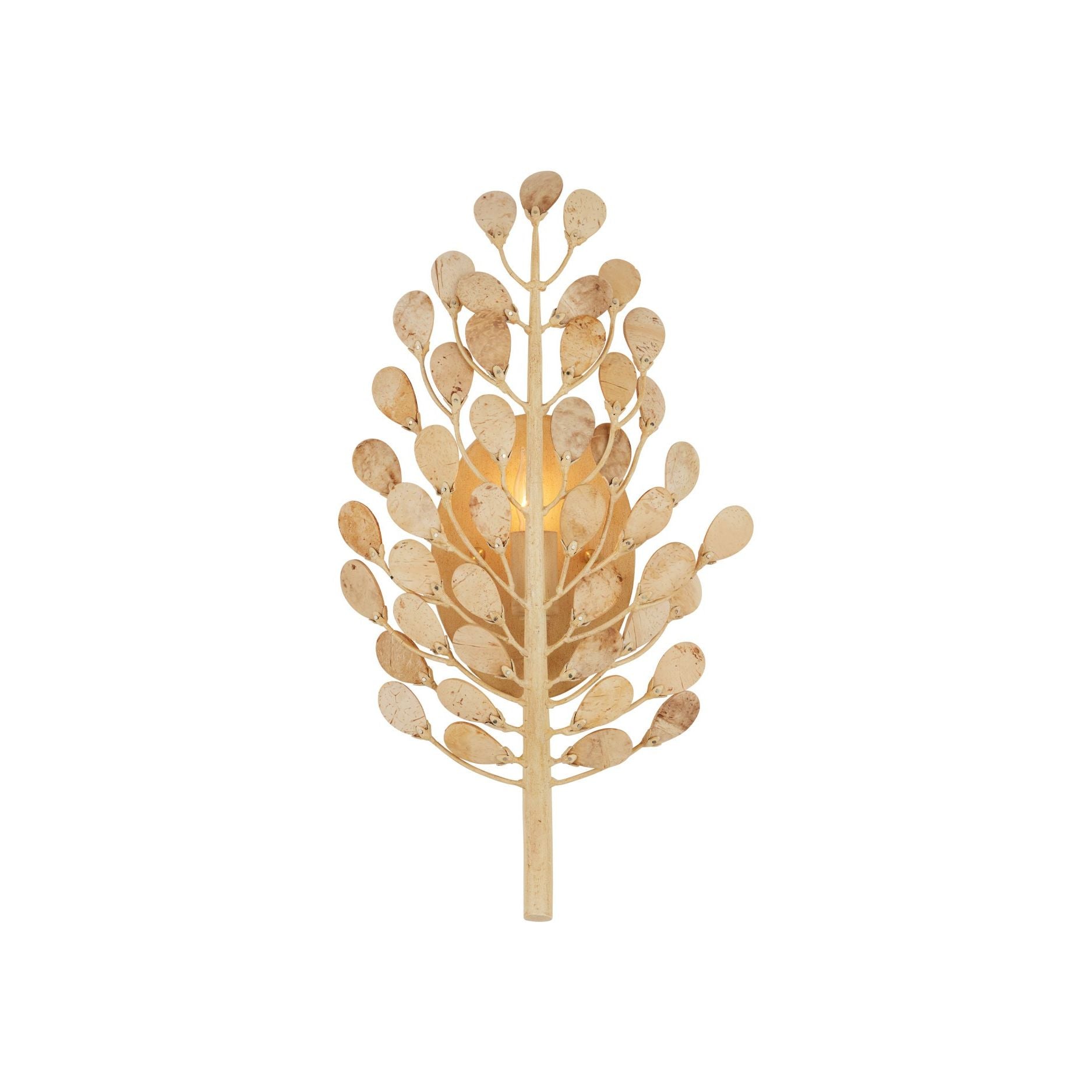 Currey and Company - 5900-0057 - One Light Wall Sconce - Maypan - Natural / Coco Cream