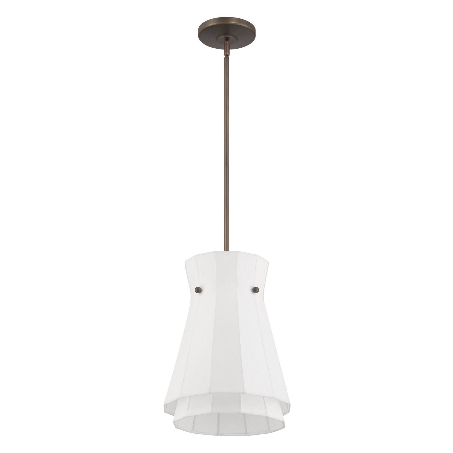 Thesis Lighting 207792A Bryony Convertible Pendant in Forged Bronze