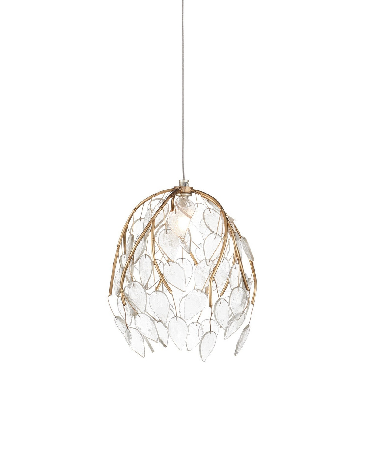 Currey and Company 9000-1387 Banyan Suspension en laiton antique/transparent/argent