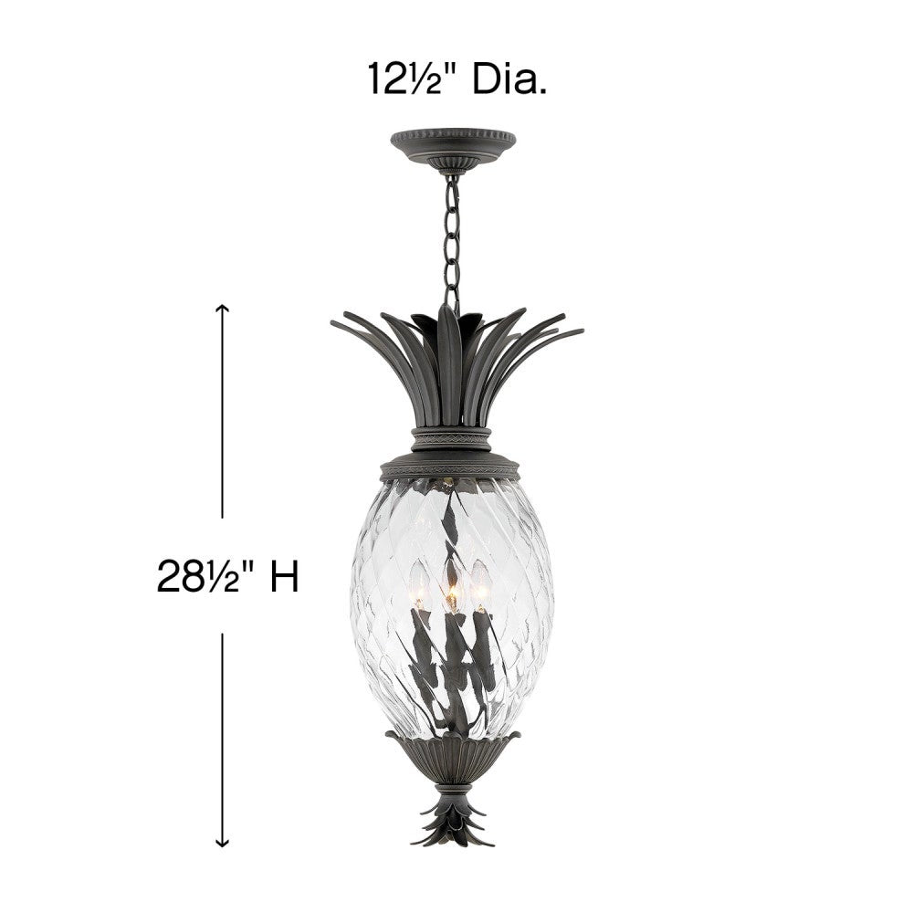 Hinkley Lighting 2122MB Plantation Hanging Lantern in Museum Black
