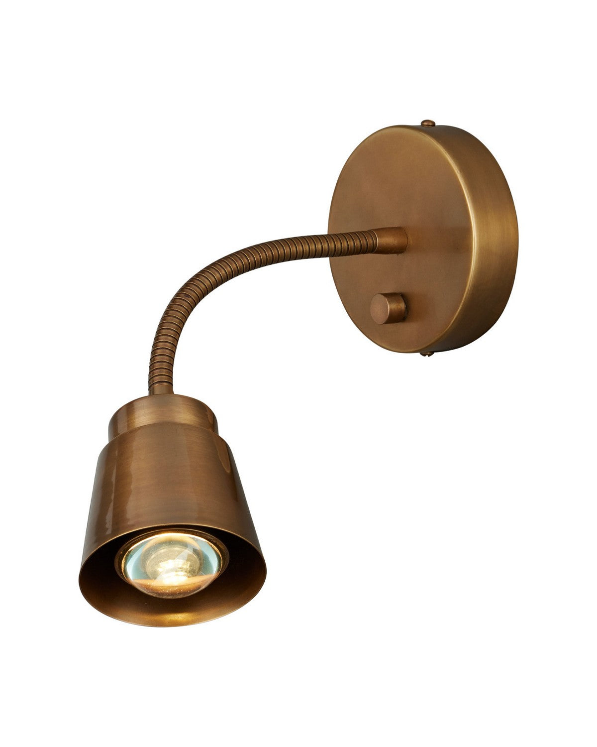 Currey et Compagnie 5000-0313 Wilbaux Murale en laiton antique