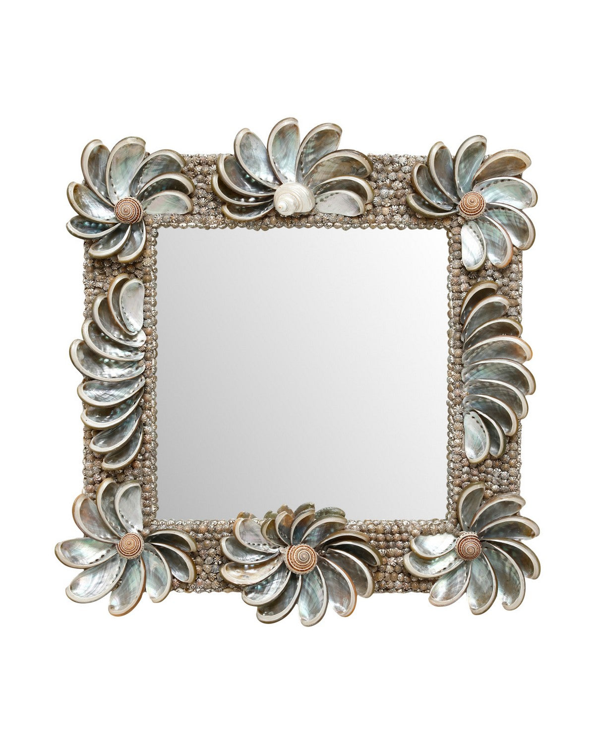 Miroir Halcyon Currey and Company 1000-0175, finition naturelle/argentée