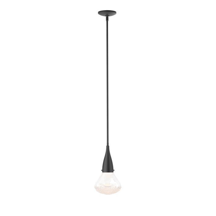 Hubbardton Forge 188902-SKT-MULT-10-ZM0676