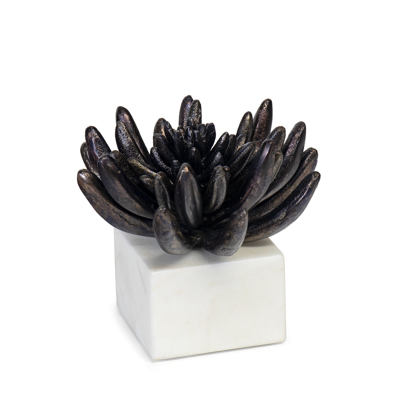 Regina Andrew Canada - 20-1484BLKZ - Sculpture - Succulent - Blacken Zinc