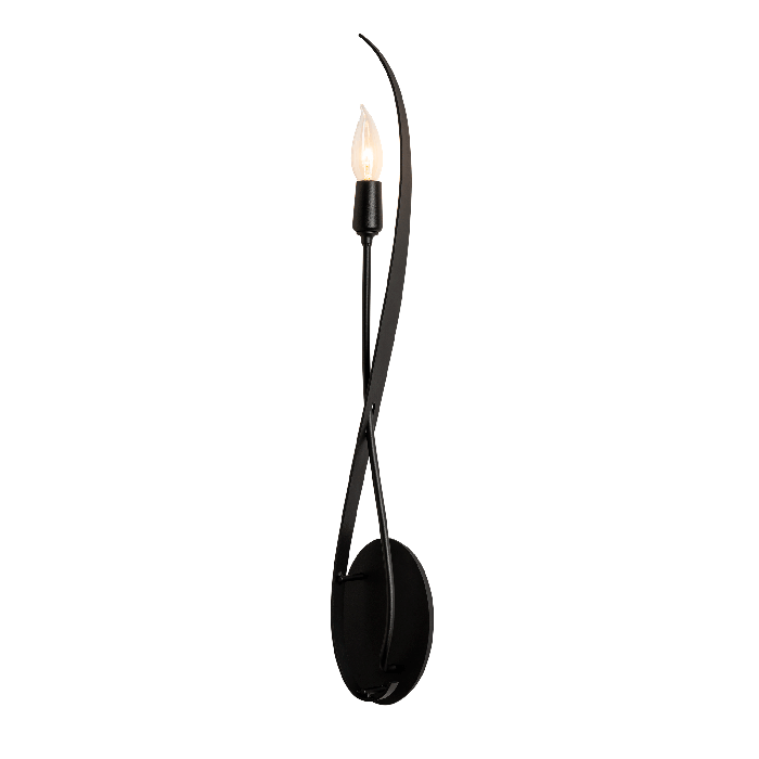 Hubbardton Forge 209120-SKT-10_10