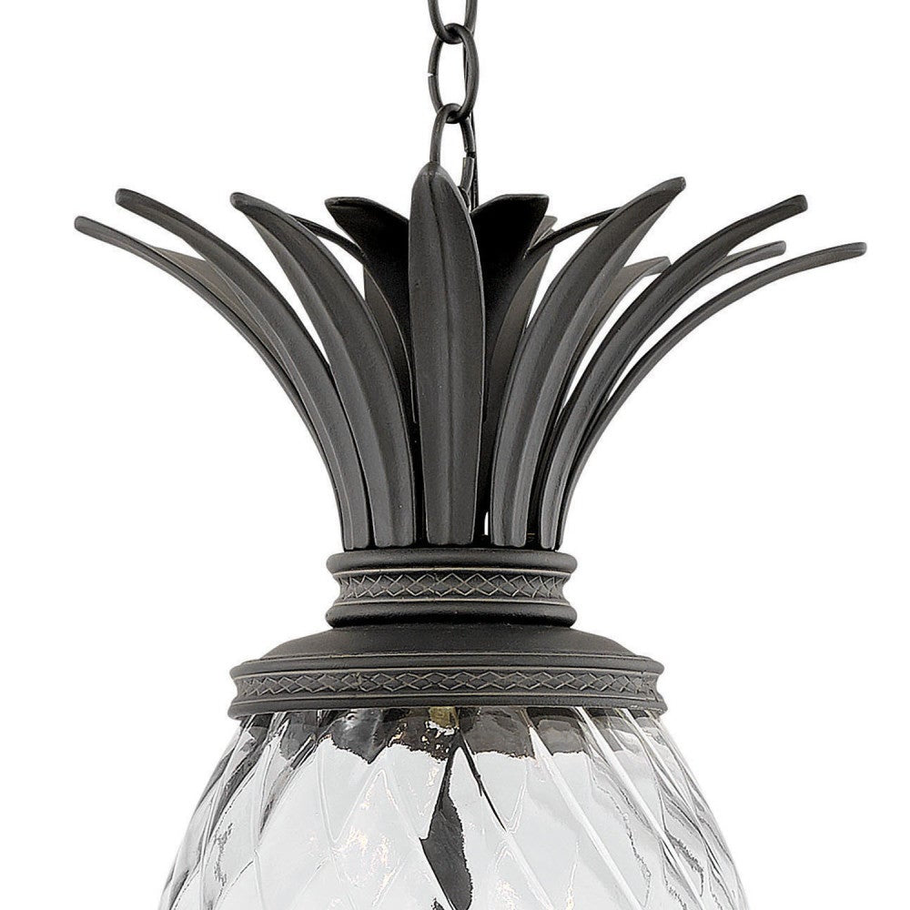 Hinkley Lighting 2122MB Plantation Hanging Lantern in Museum Black