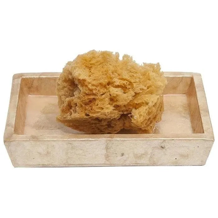 Porte-savon Andria de Pigeon and Poodle PP000238 en nacre fumée