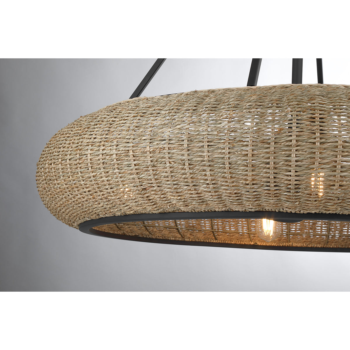 Savoy House 40-FD-8302-89 Gaia Ventilateur D'Lier en noir mat