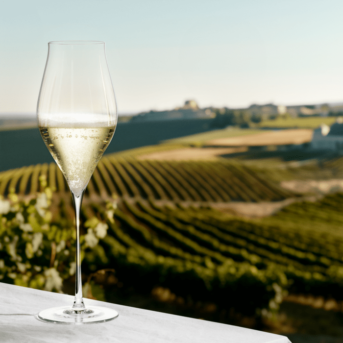 Holmegaard 4304700 Notes Verres à vin transparents