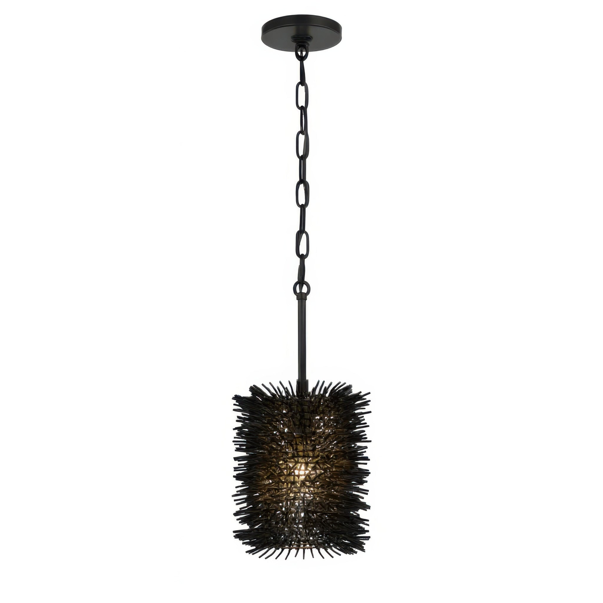 Varaluz - 569M01BL - Une lumière Suspension - Oursin - Noir