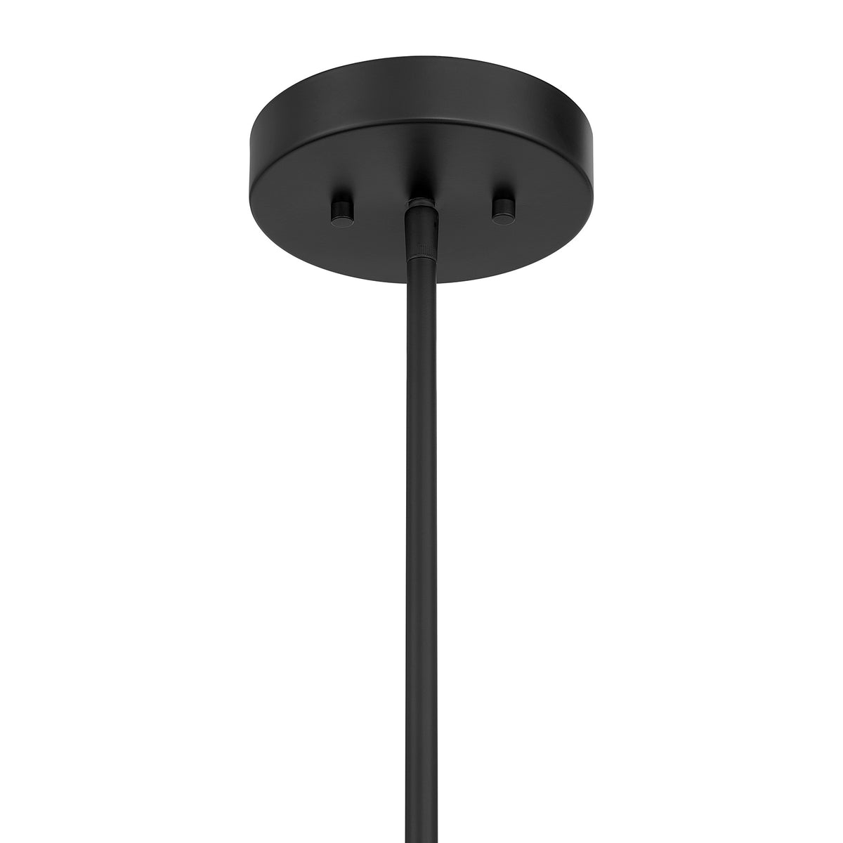 Savoy House 7-8301-6-89 Gaia Suspension en noir mat