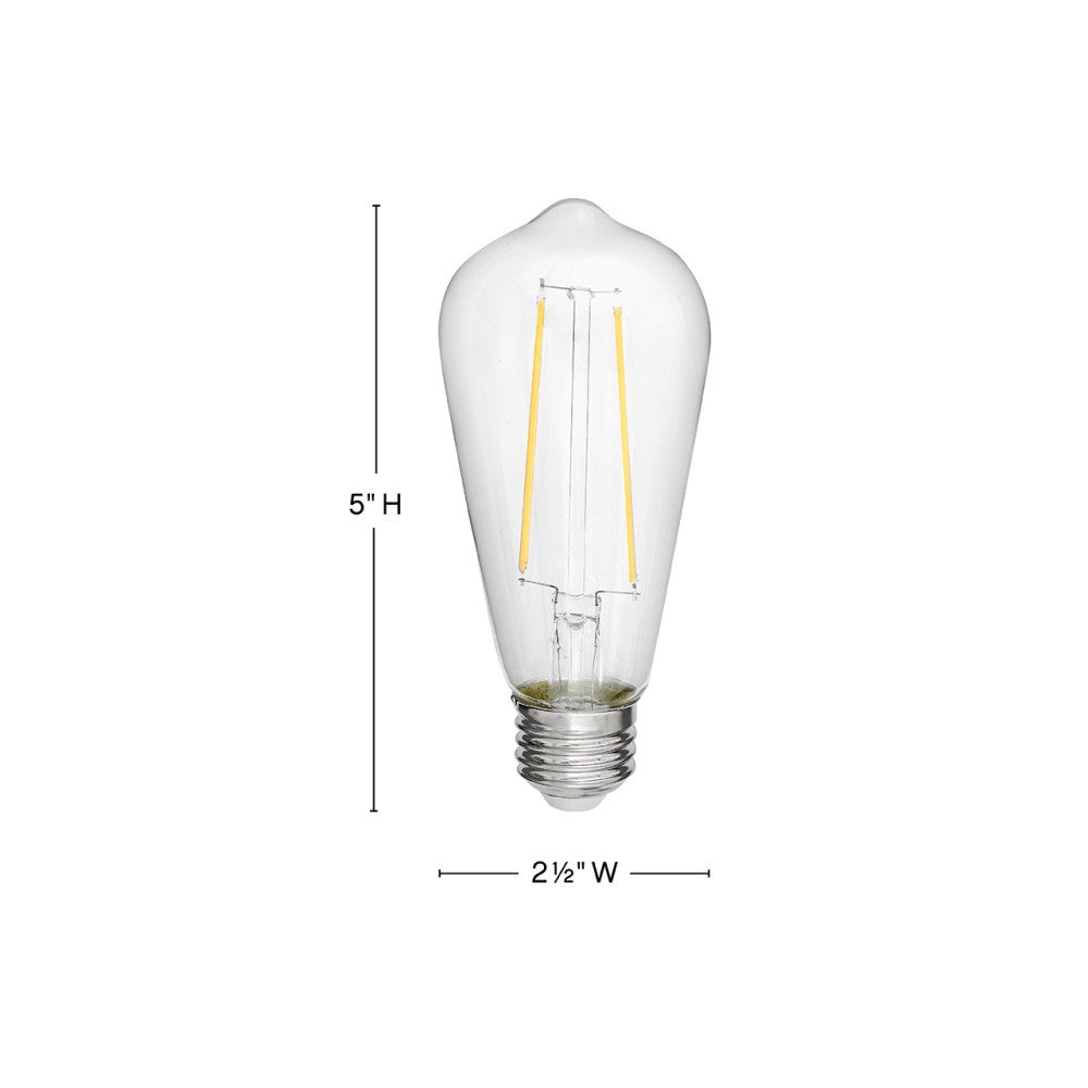 Ampoule LED LumiGlo E26ST192245CL de Hinkley Lighting (Accessoires)