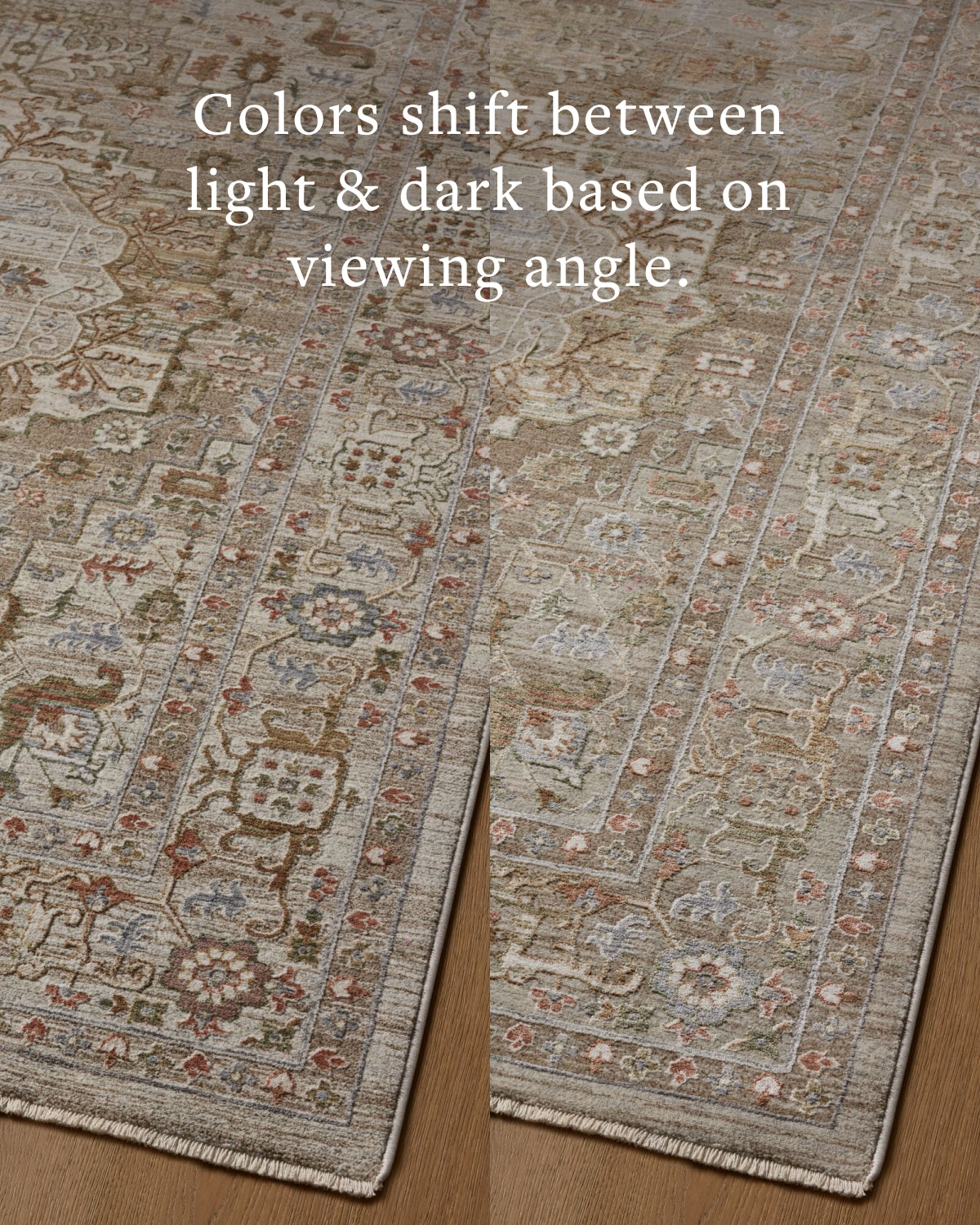 Loloi Rugs AYLNAYL-08MSHF Aylin AYL-08 Mushroom / Fiesta Area Rug in Mushroom / Fiesta