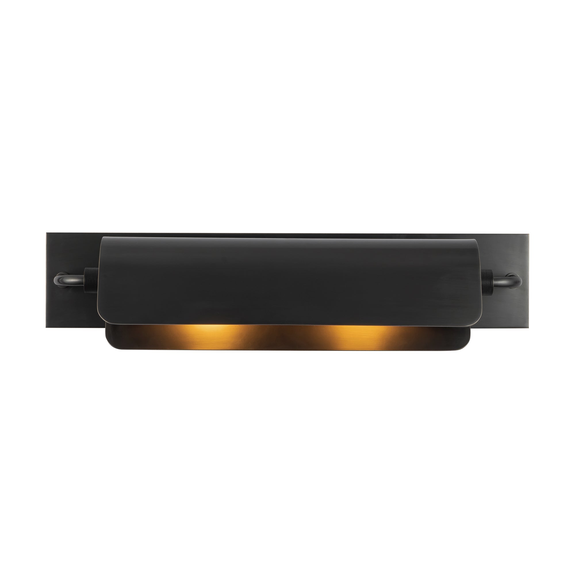 Alora Lighting Darby 23-in Wall/Picture Light