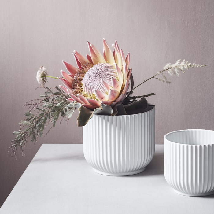 Lyngby Porcelæn 201396 Lyngby Flowerpot in White