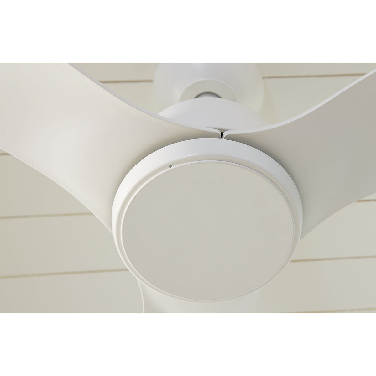 Visual Comfort Fan Collection 3AVLCR54RZWD Avila Coastal LED Ceiling Fan