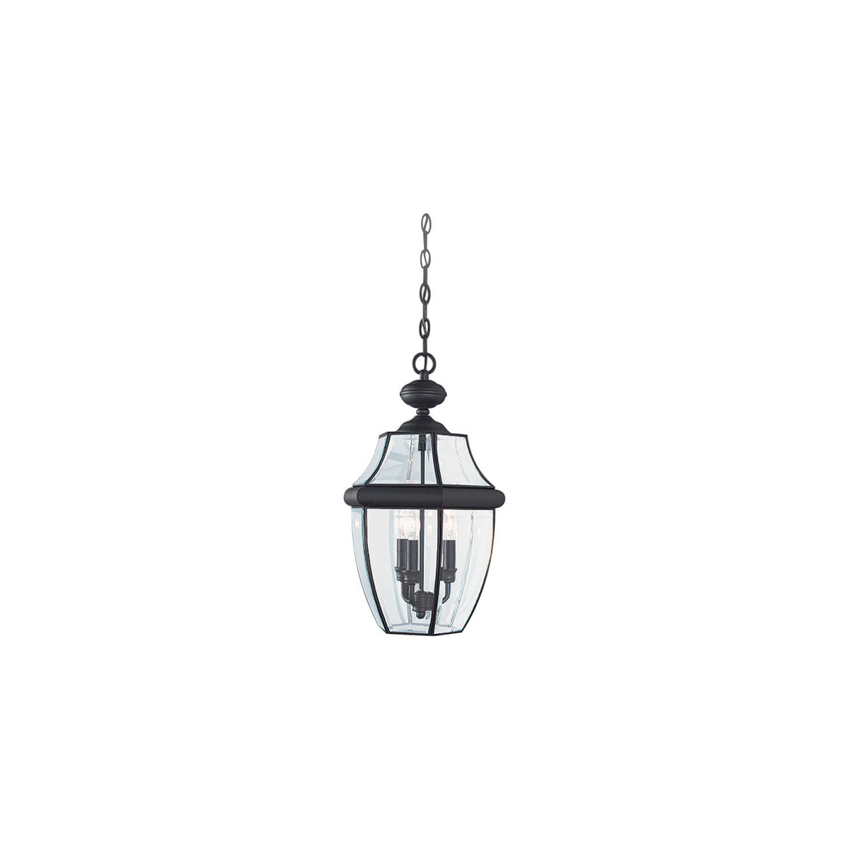 Generation Lighting 6039-12 Lancaster 21" Hanging Lantern