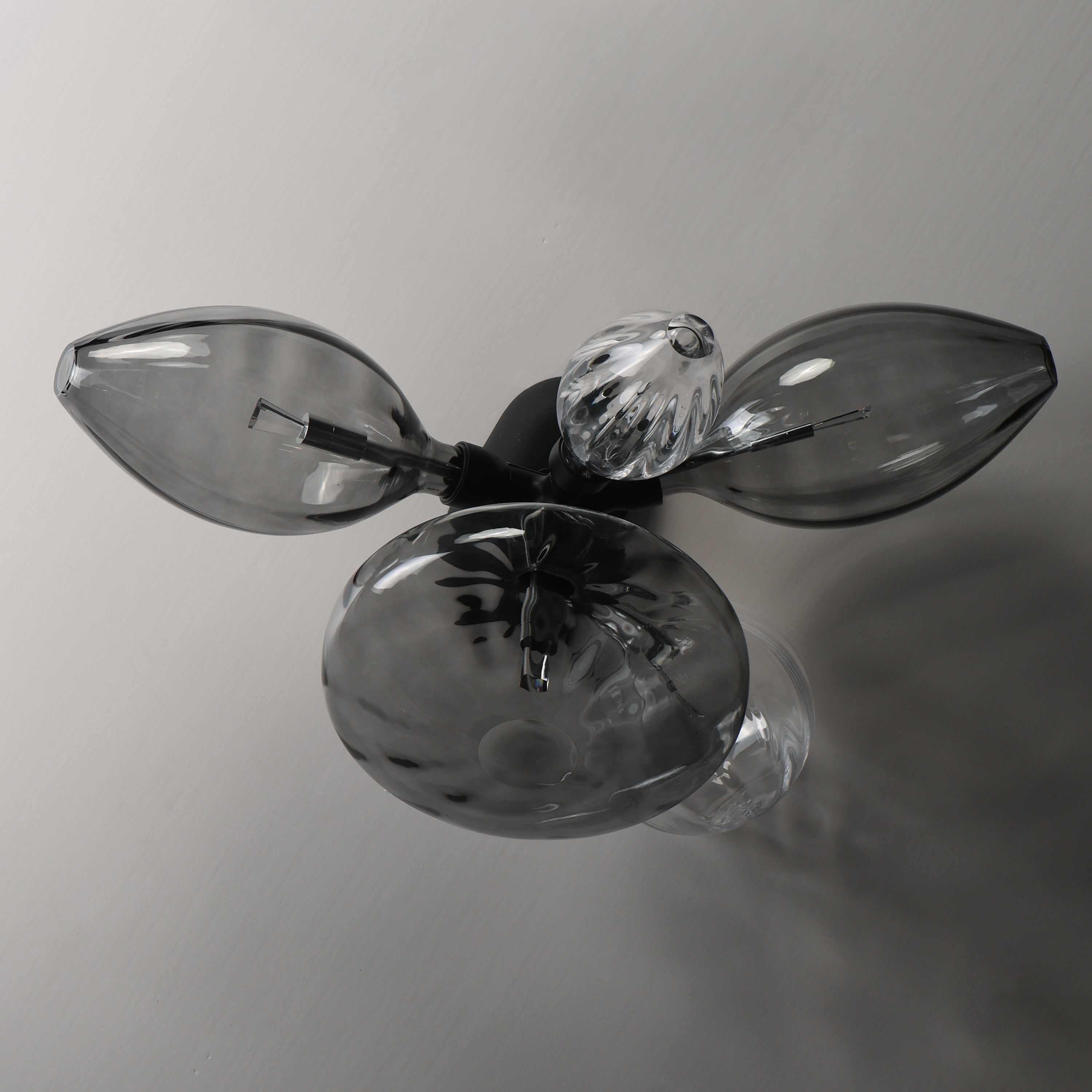 Studio M Lighting SM49300MSCLBK Ray Dance Cluster Wall Sconce in Black with Smoke and Clear glass, three-quarter angle view