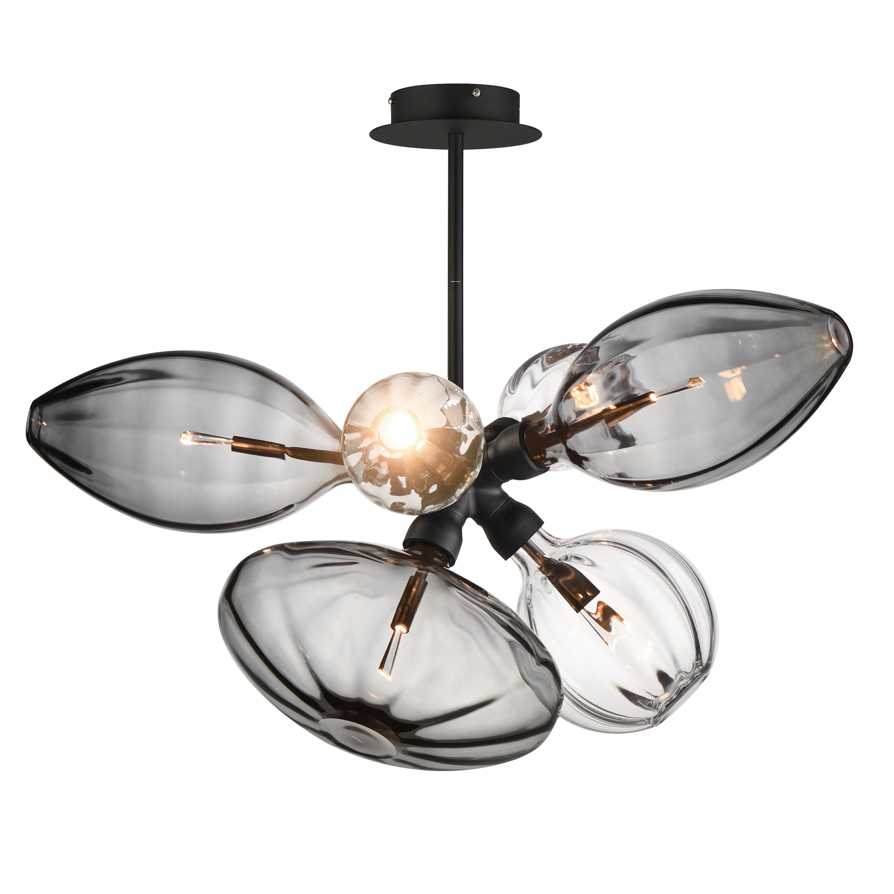 Studio M Lighting - SM49301MSCLBK - Ray Dance Cluster Pendant - Ray Dance Cluster - Black