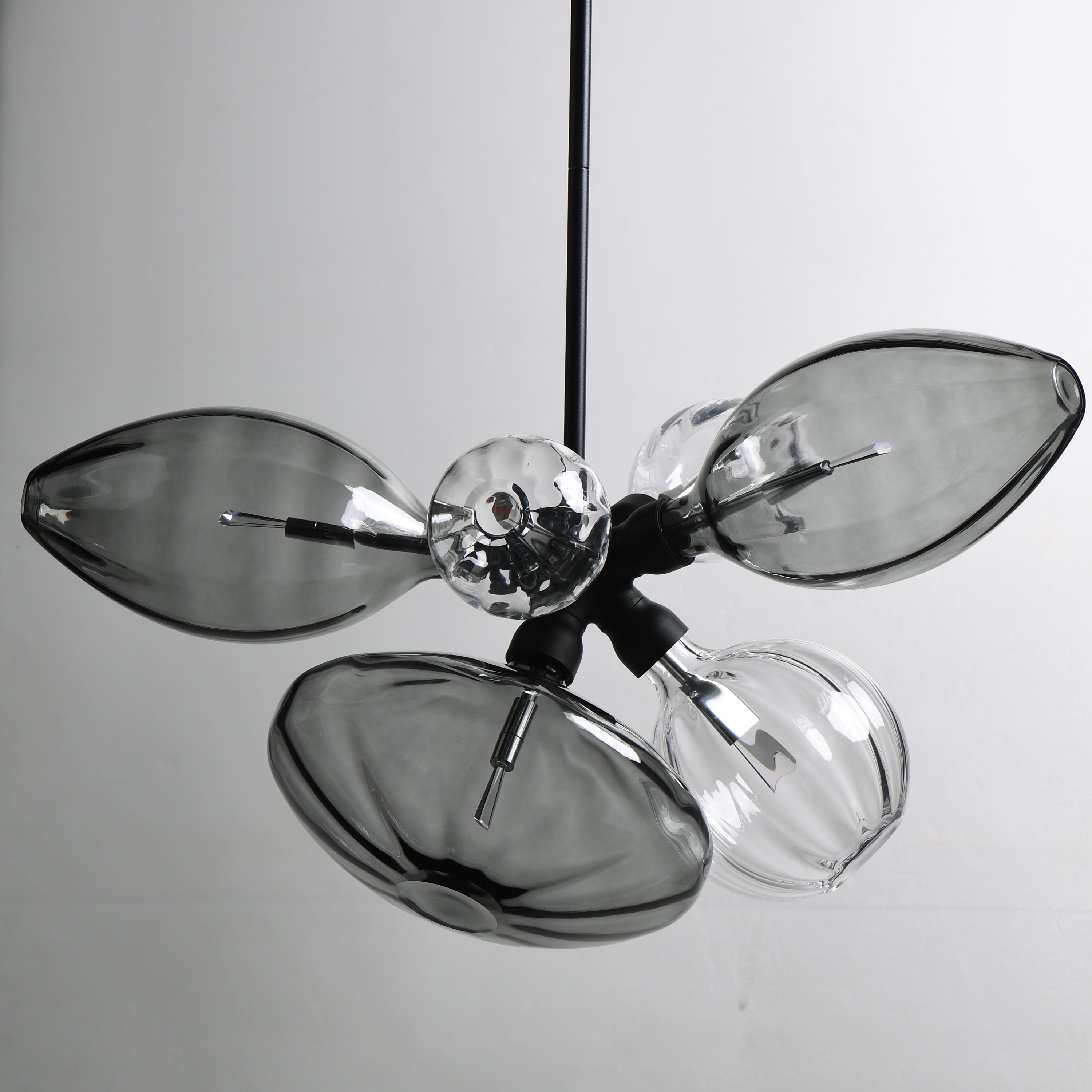 Studio M Lighting - SM49301MSCLBK - Ray Dance Cluster Pendant - Ray Dance Cluster - Black