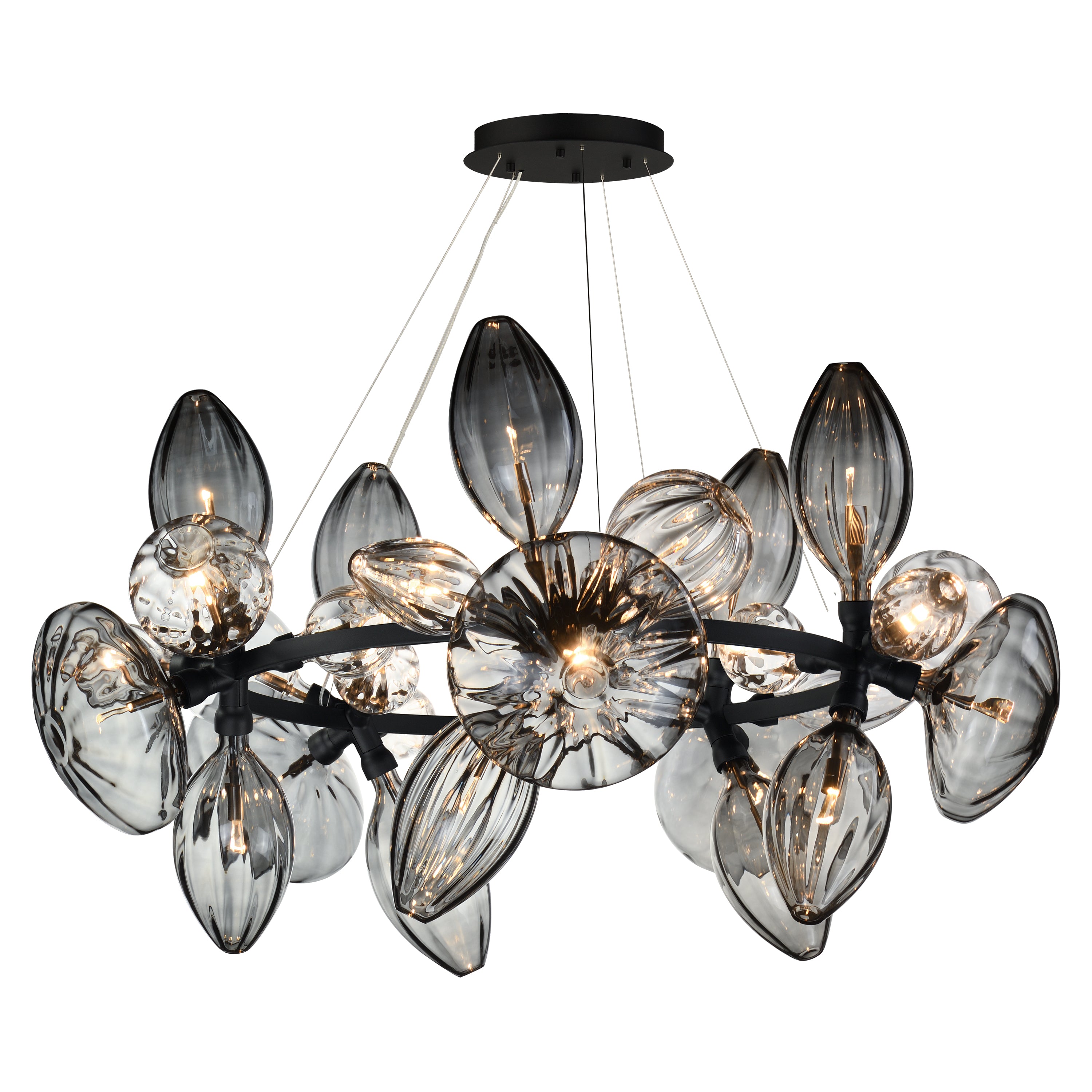 Studio M Lighting - SM49305MSCLBK - Ray Dance Cluster Pendant - Ray Dance Cluster - Black