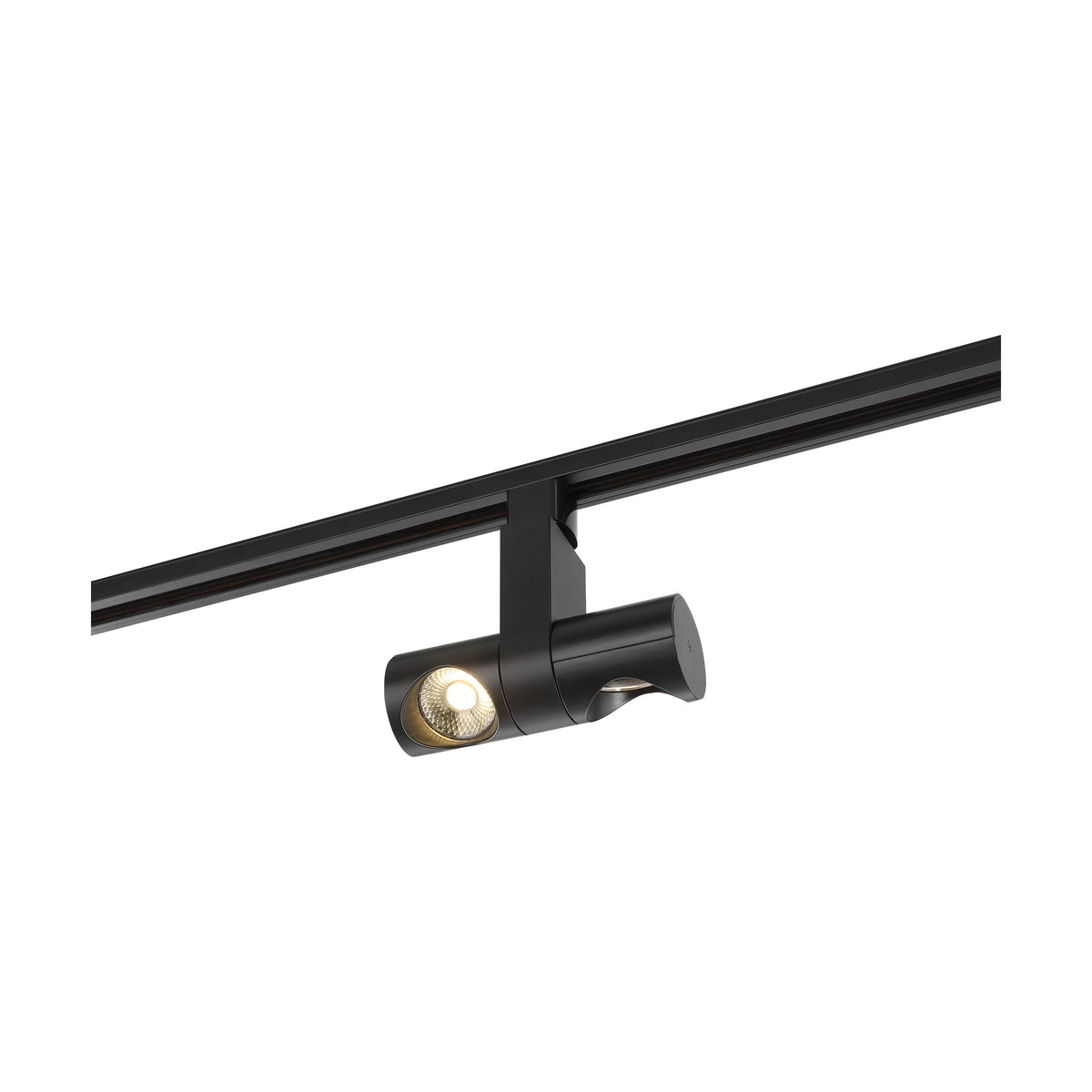 Satco TH481 LED Dual Pipe Track Head in Black