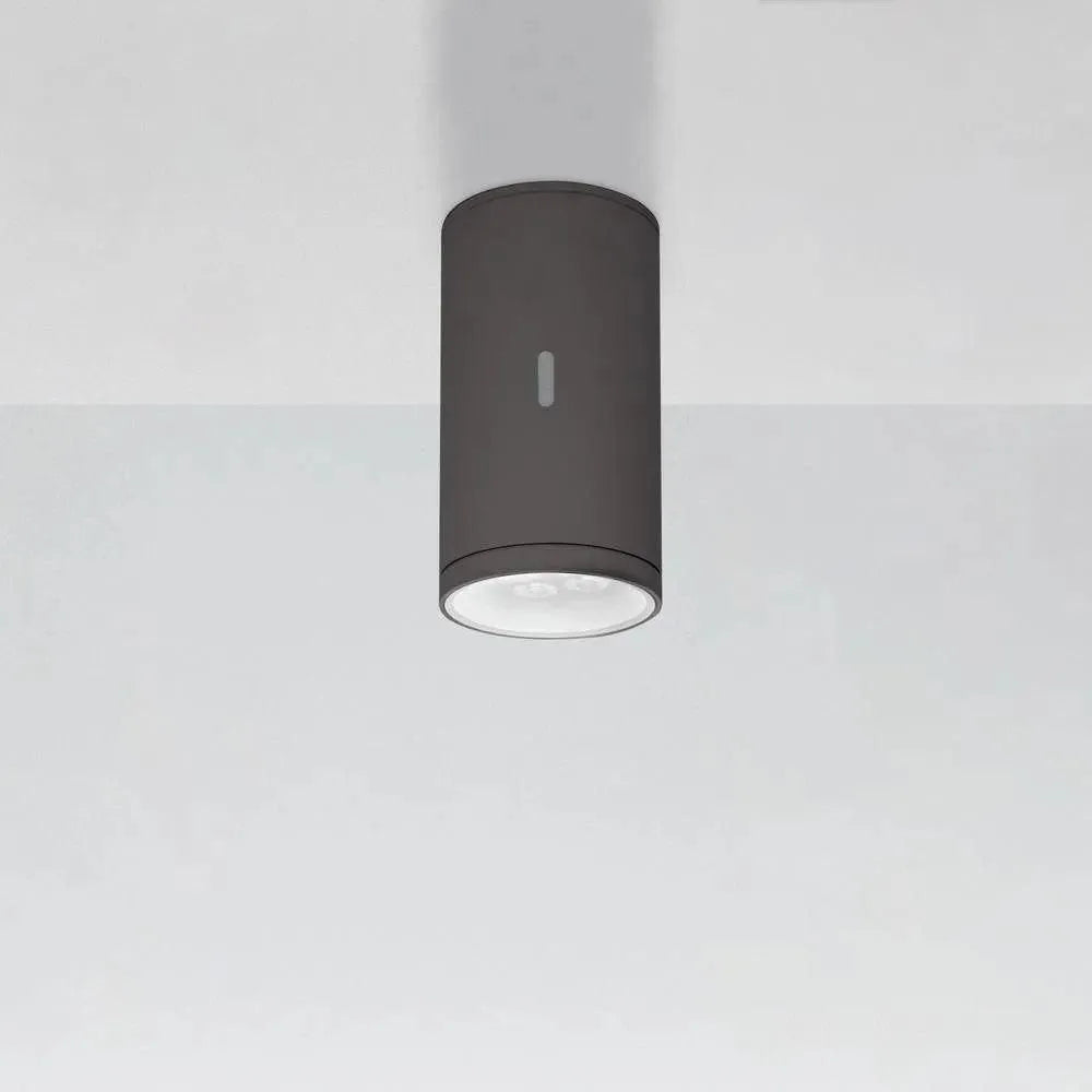 Artemide - Calumet Outdoor Ceiling Light - T41961LN18 | Montreal Lighting & Hardware