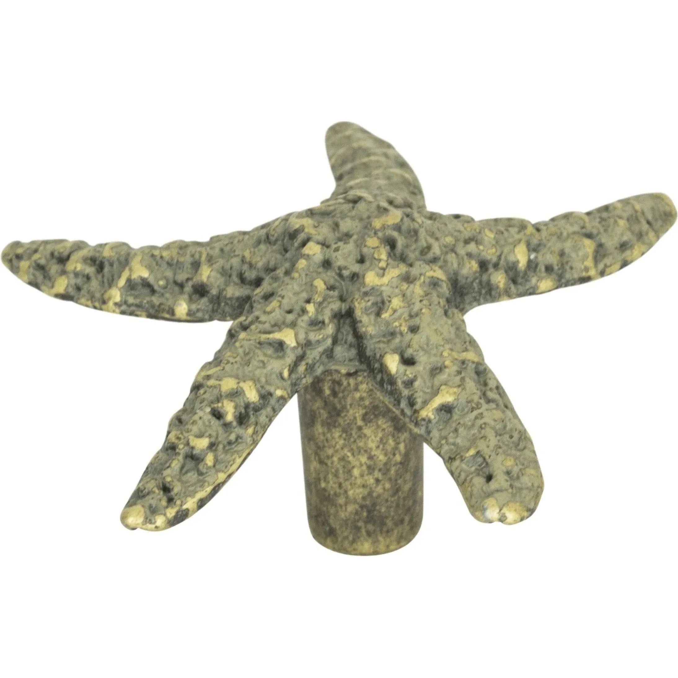 Atlas Homewares - Starfish Knob - 142-V | Montreal Lighting & Hardware