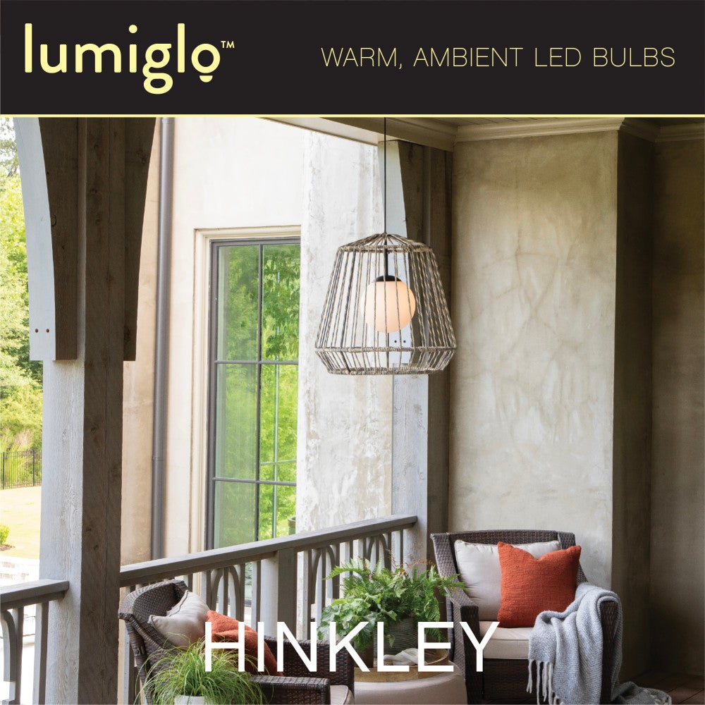 Ampoule LED Hinkley Lighting E12T62245CL-24 LumiGlo E12T62245CL dans Accessoires