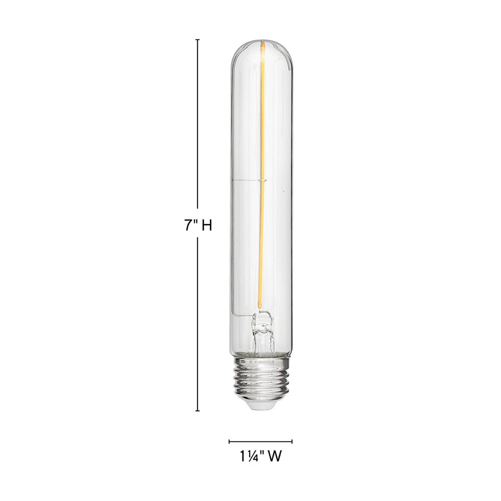 Ampoule LED LumiGlo E26T102247CL-4 de Hinkley Lighting (E26T102247CL) - Accessoires
