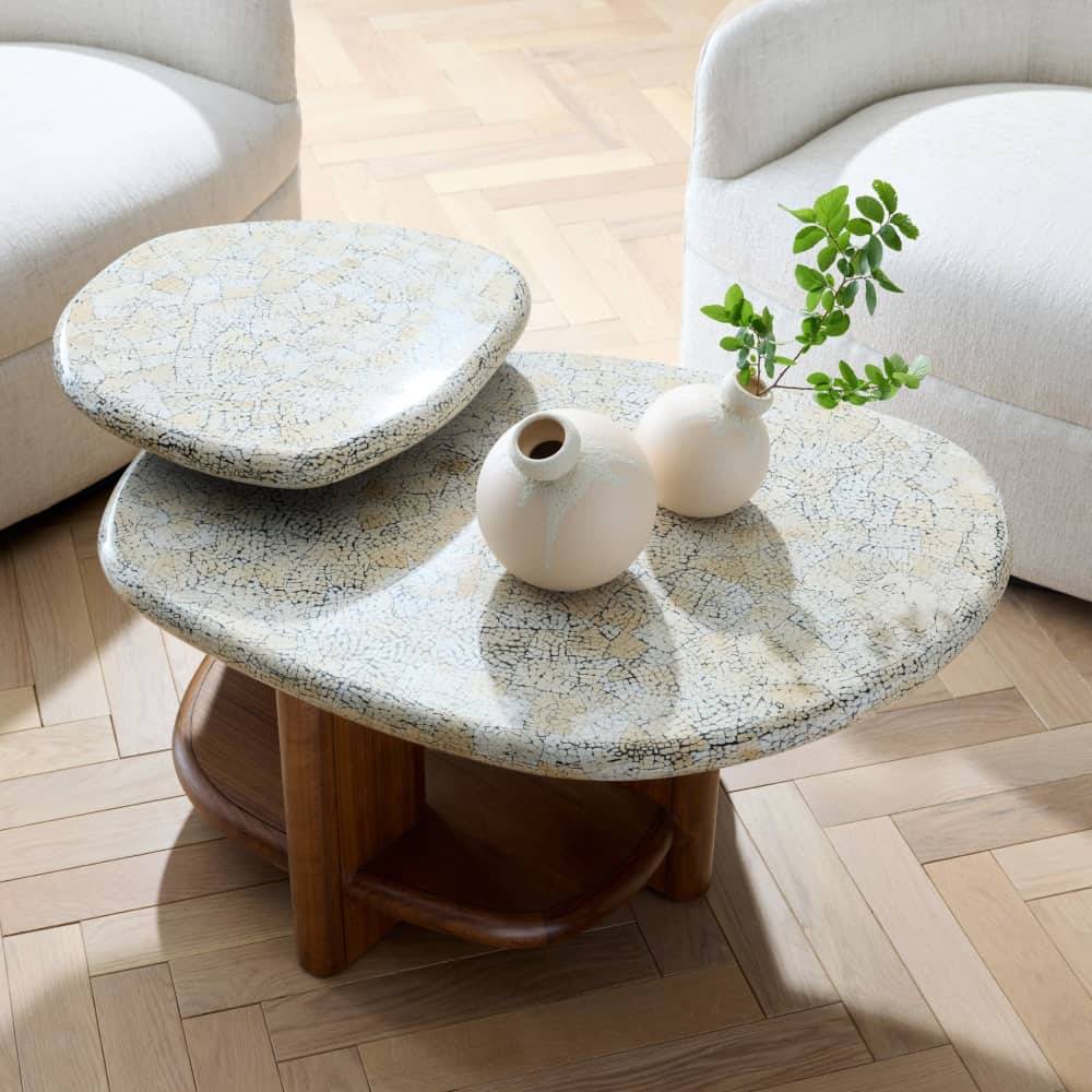 Arteriors FCS15 Forney Coffee Table