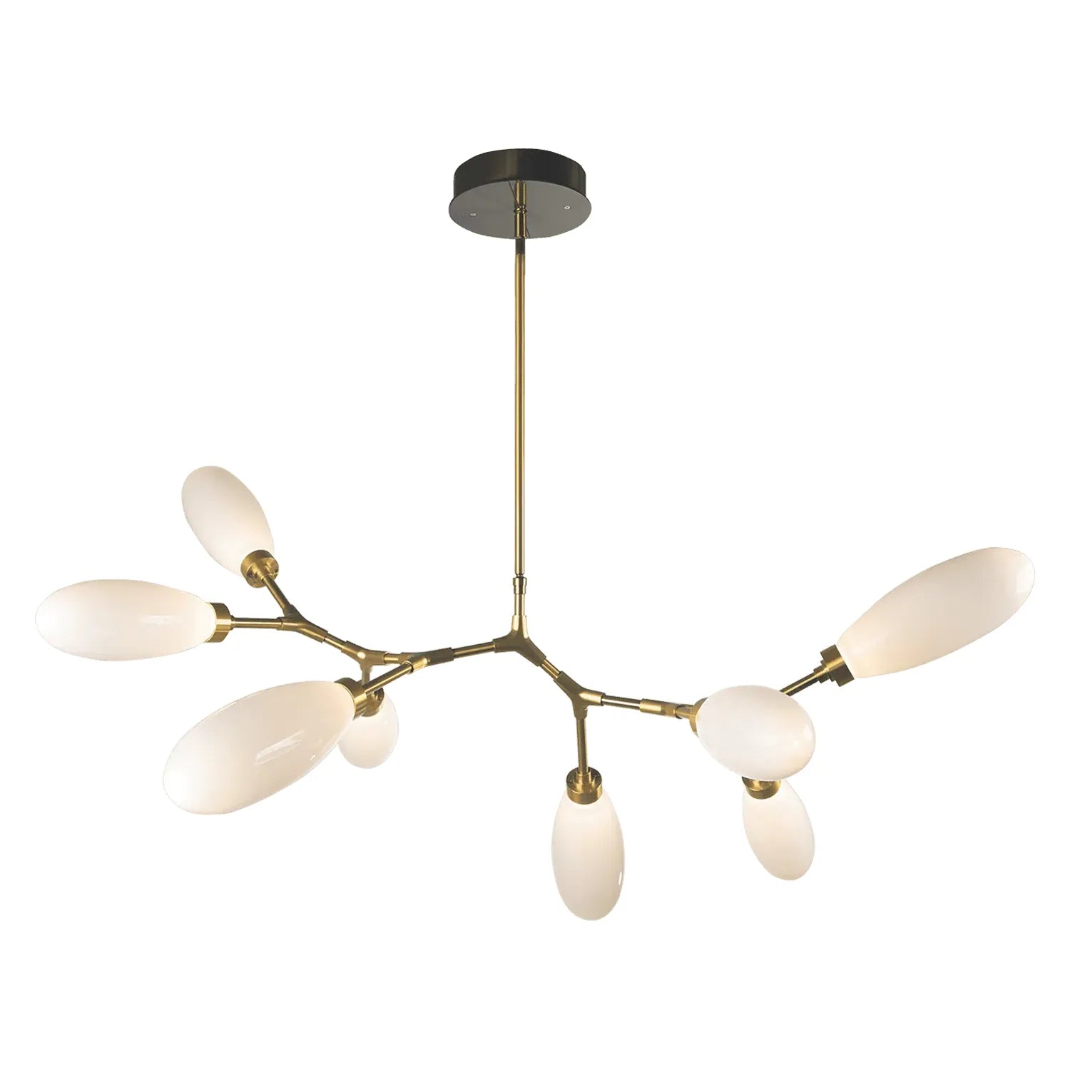 Hammerton Studio - Fiori Modern Branch, 8-Light - PLB0071-BB-HB-WL-001-L3 | Montreal Lighting & Hardware